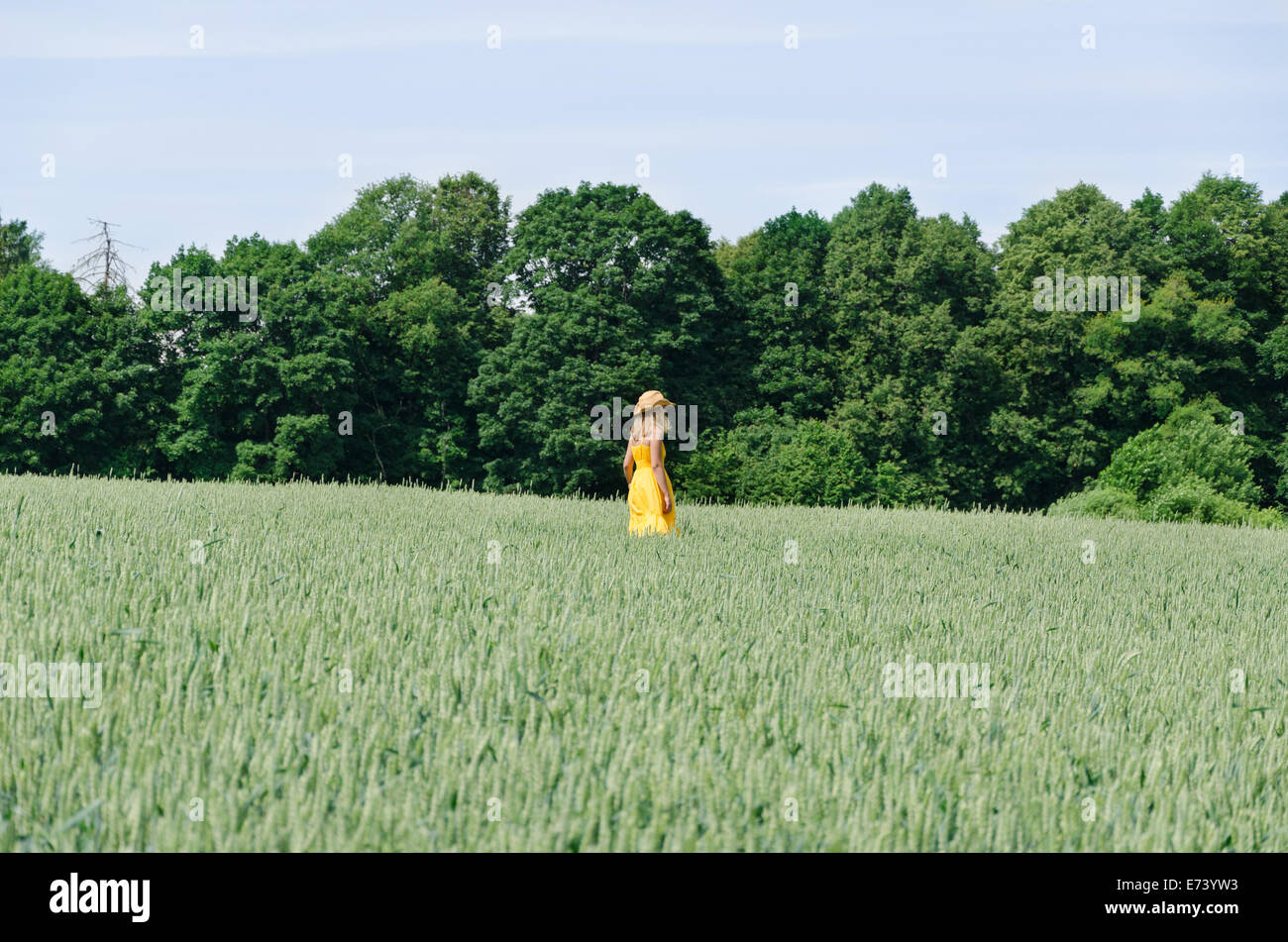 Schöne Bauer Frau im gelben Kleid und Hut gehen in Landwirtschaft Weizenfeld und starker Wind wehen. Stockfoto