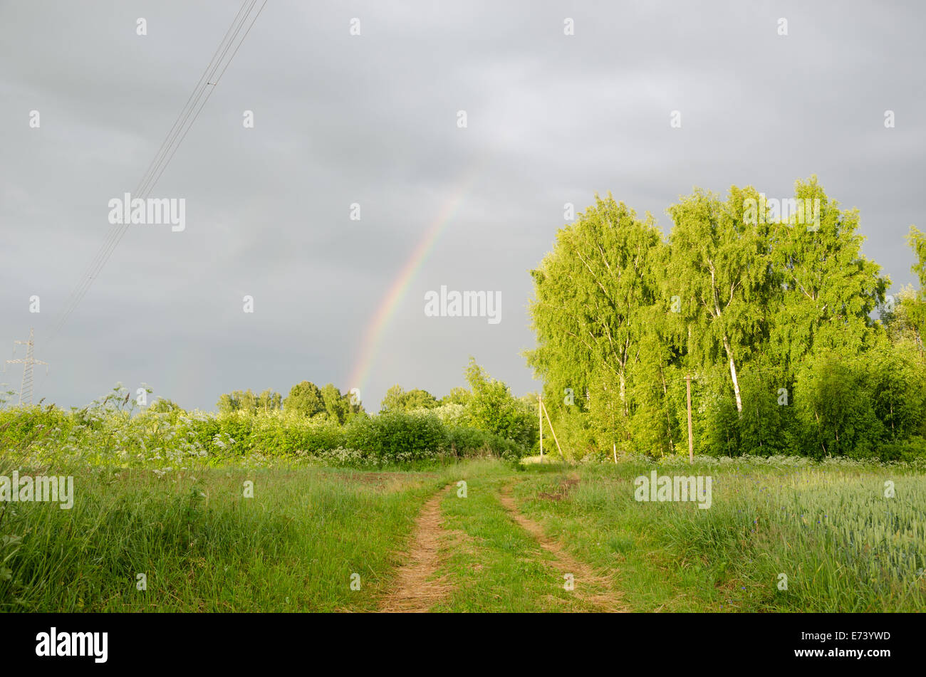 natürlicher Regenbogen nach dem Regen über Grüner Baum und ländlichen Weg Sommerzeit Stockfoto