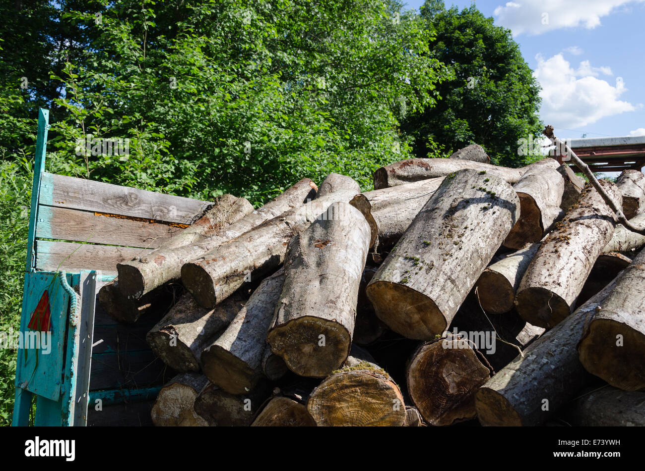Haufen von Schnitt protokolliert im Wald Saisonarbeit Sommerzeit-trailer Stockfoto