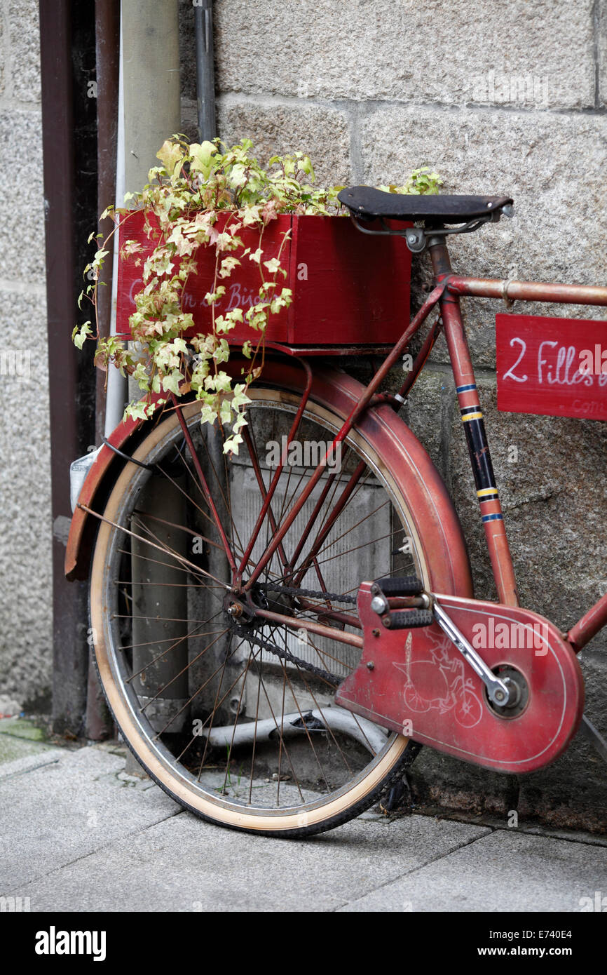 Franzsisch-Bike mit Efeu in seiner hinteren box Stockfotografie - Alamy