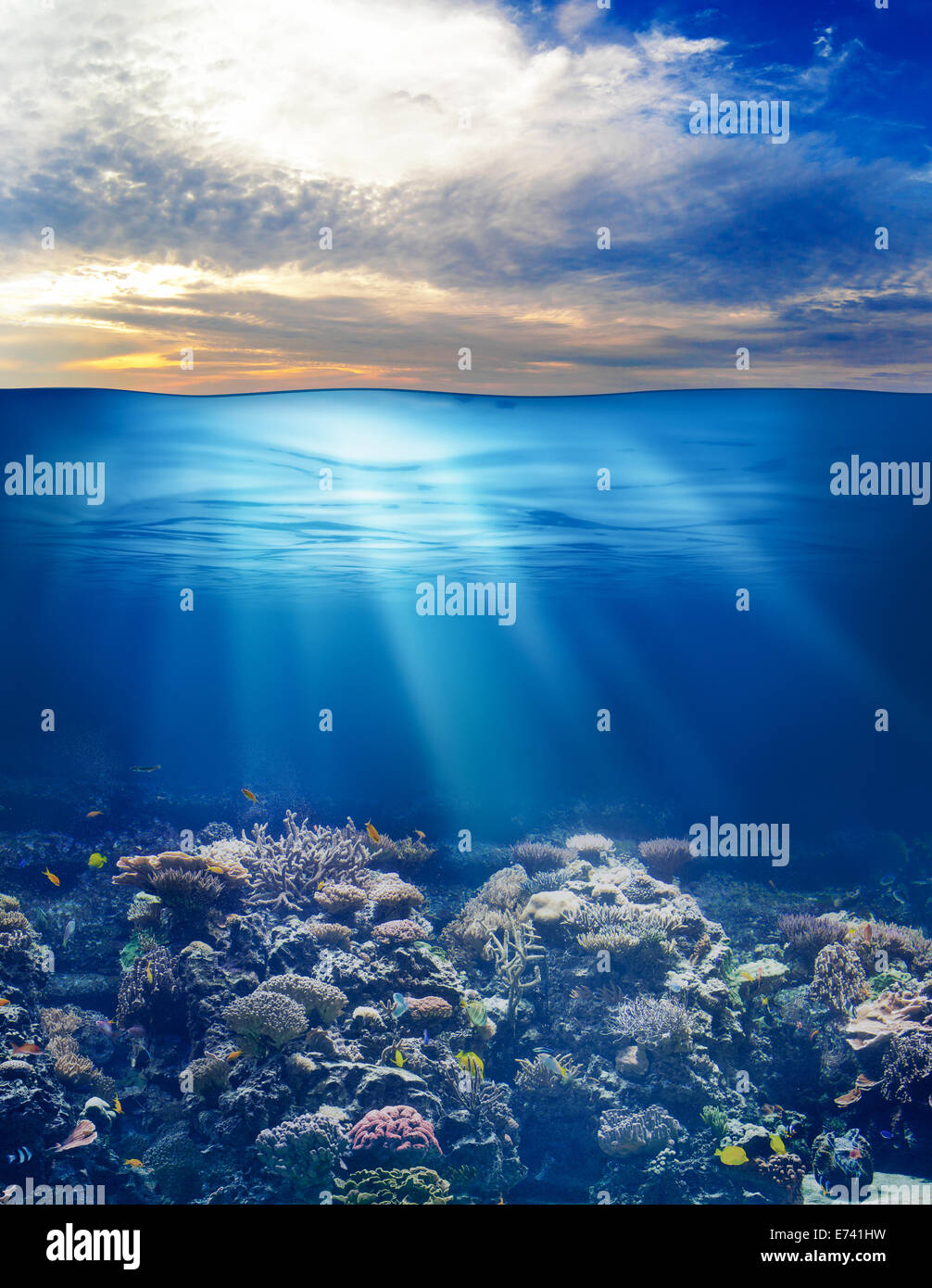 Meer oder Ozean Unterwasserwelt mit Sonnenuntergang Himmel Stockfoto