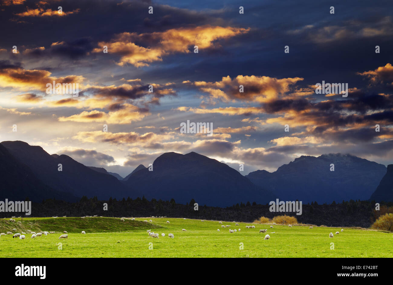 Berglandschaft bei Sonnenuntergang, Southland, Neuseeland Stockfoto