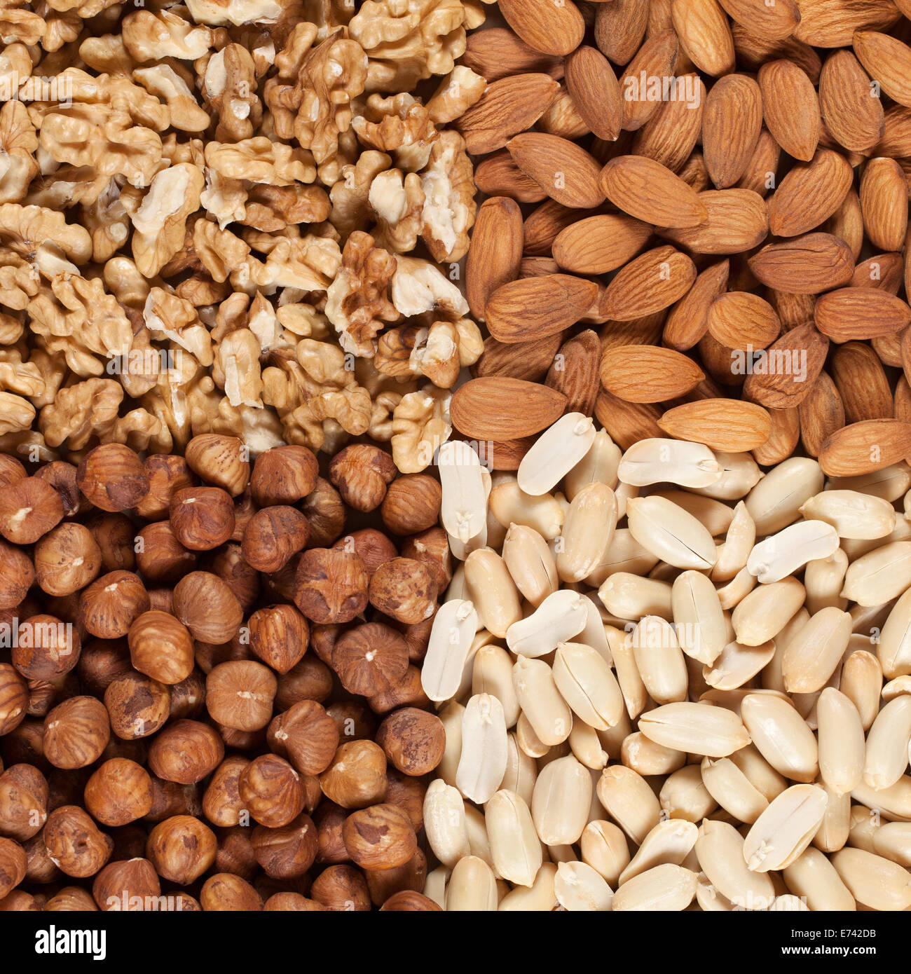 Erdnüsse, Walnüsse, Mandeln und Haselnüsse bilden einen Hintergrund Stockfoto