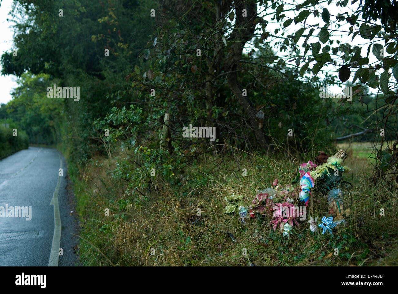 Schrein, Straßenunfall-Gedenkstätte für einen Tod, der Schrein aus Plastikblumen. County Road im ländlichen Surrey UK 2010er Jahre, 2014 HOMER SYKES Stockfoto