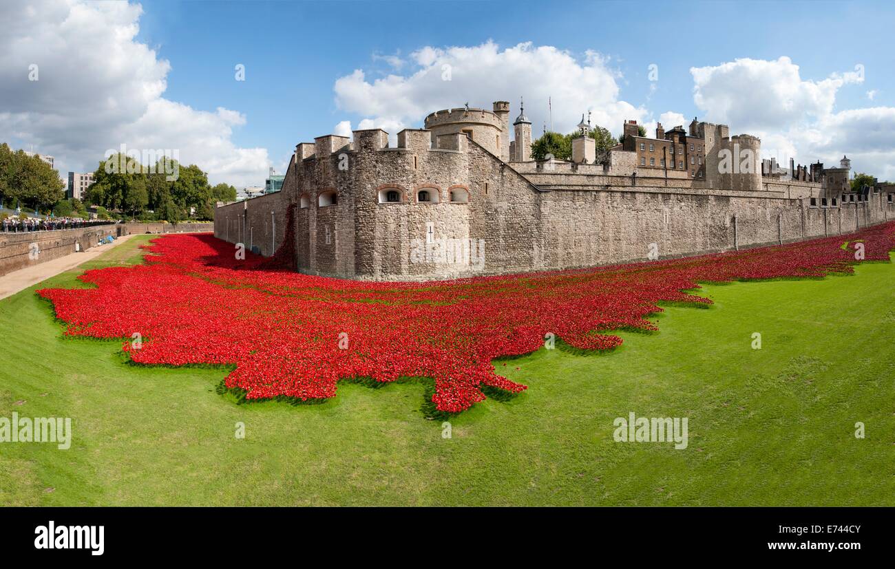 Der Tower of London, umgeben von Keramik Mohnblumen Künstlers Paul Cummins Stockfoto