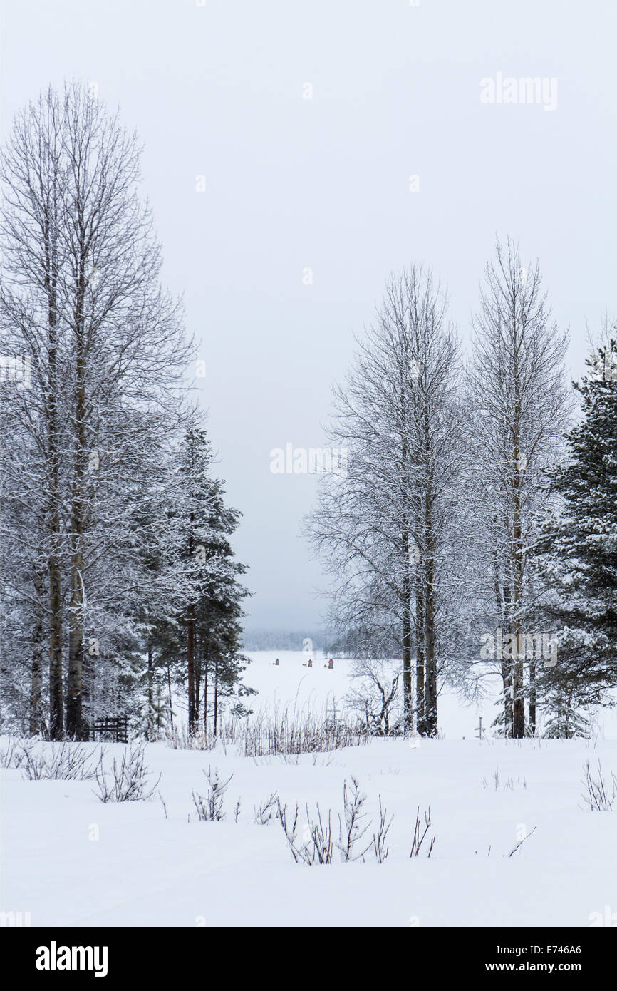 Finnland. Drei Hundeschlitten begeben Sie sich auf einem zugefrorenen See Stockfoto