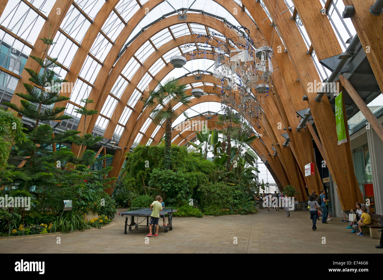 Im Inneren der Wintergärten, Sheffield, Yorkshire, England, UK. Stockfoto