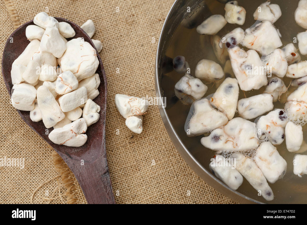 Baobab-Fruchtfleisch getrocknet. Es kann ins Wasser aufgelöst werden, um eine vitaminic trinken Stockfoto