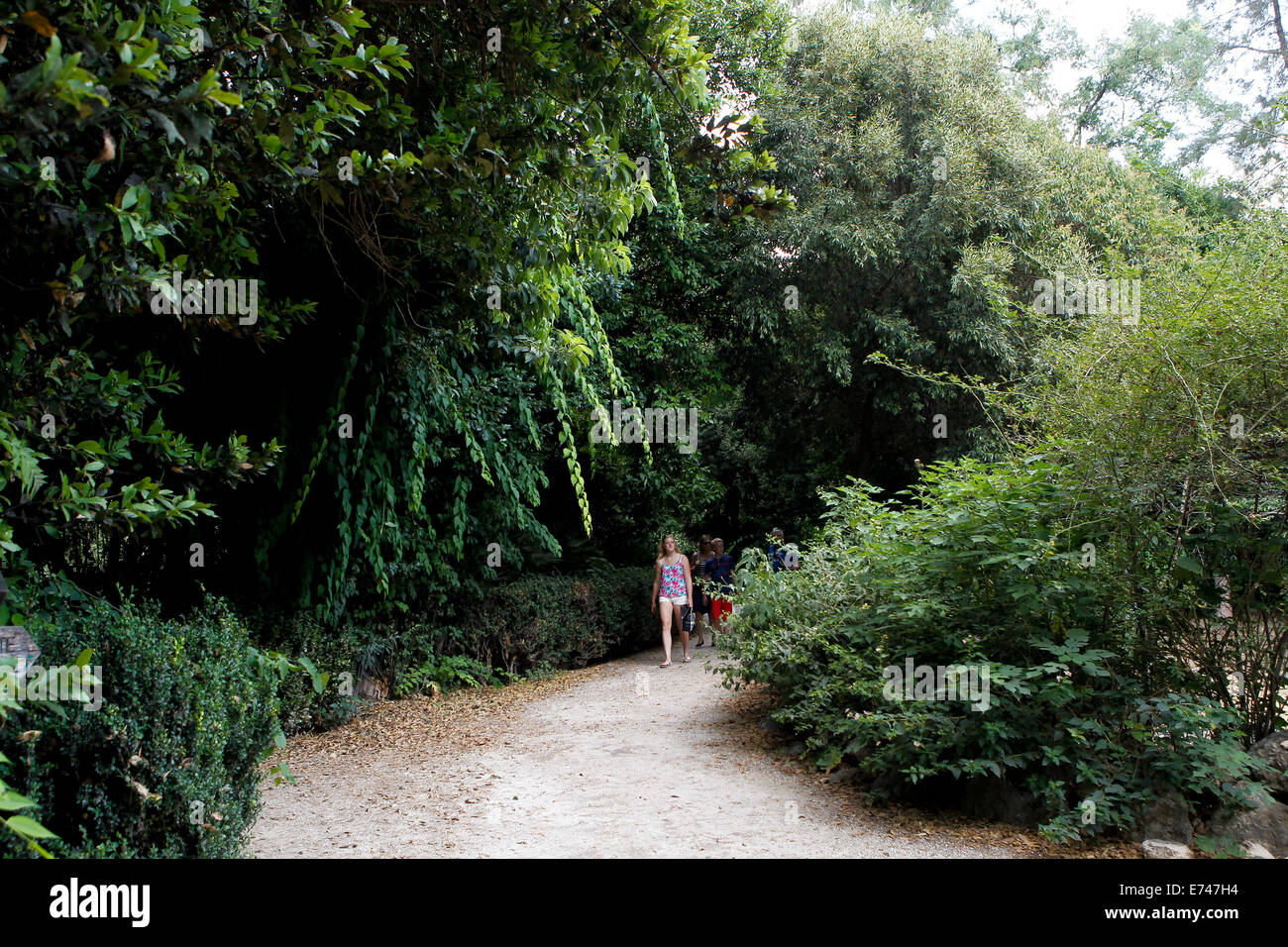 Griechischer nationalgarten Fotos und Bildmaterial in hoher Auflösung