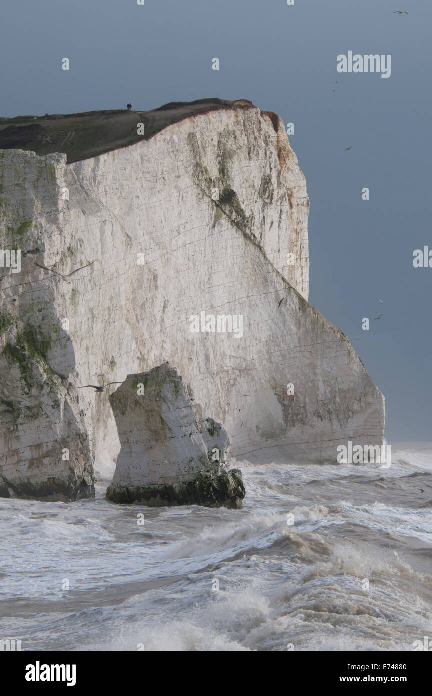 Seaford Kopf gegen eine grau, Winterhimmel und mit Winterwellen Rollen Stockfoto