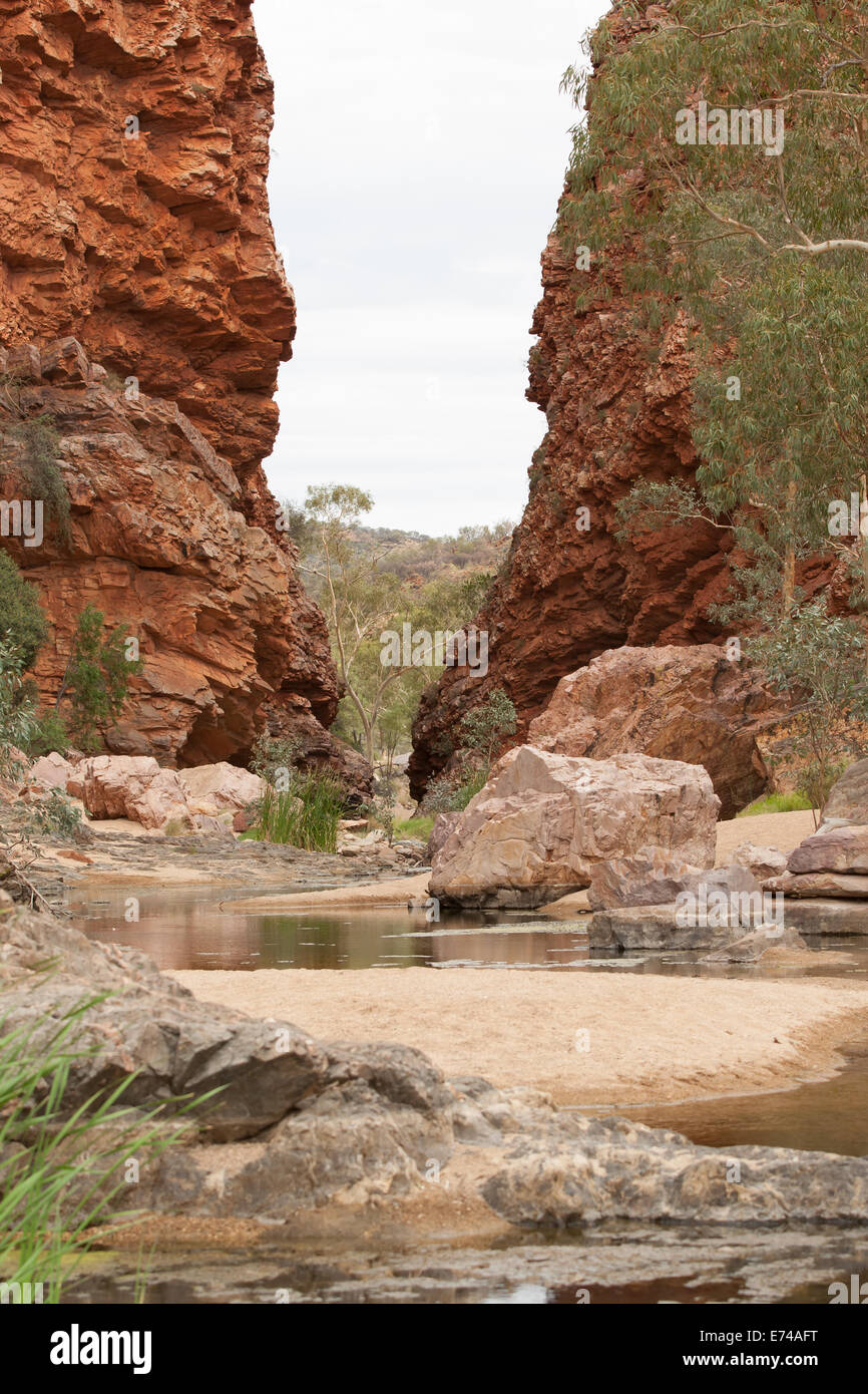 Eine teilweise Dry Creek mit sandigen Ufer mit Bäumen und Sträuchern fließt durch eine schmale Schlucht der roten Felsen, Simpsons Gap Stockfoto