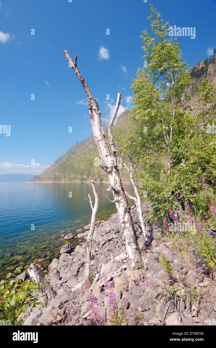 Russische Landschaft, den Baikalsee, Sibirien, Russland Stockfoto