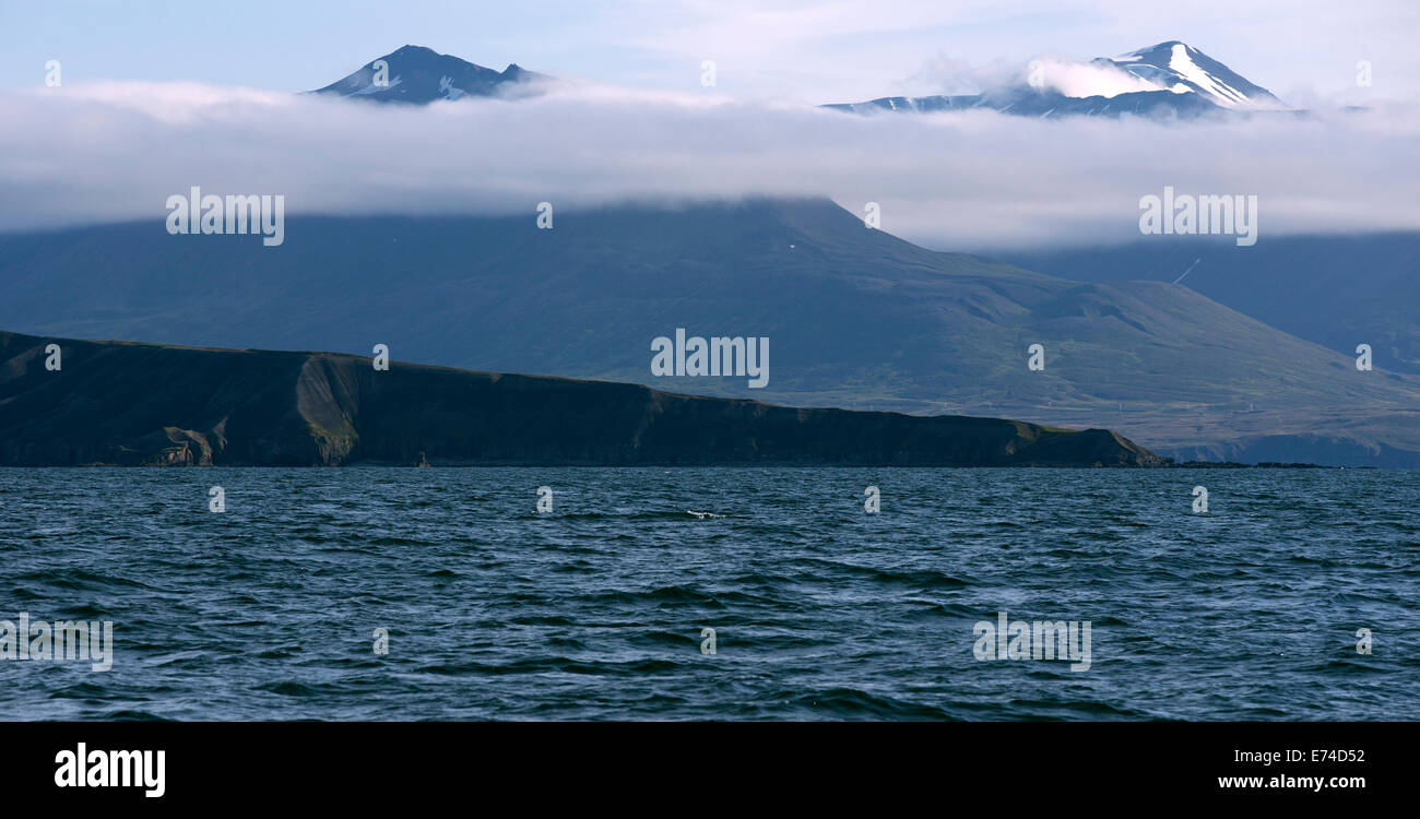 Berge und die Küste des Atlantischen Ozeans, isländische Landschaft. Stockfoto