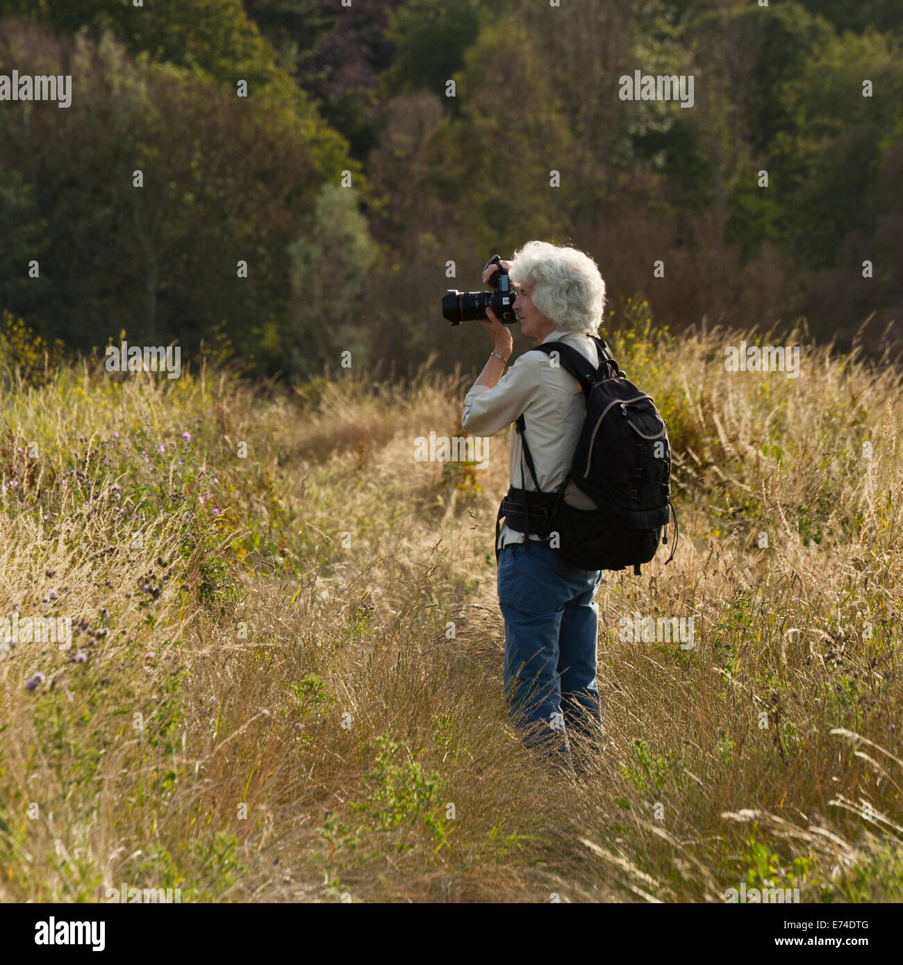 Eine Fotografin, die mit ihrer Kamera Aufnahmen in der Natur Stockfoto