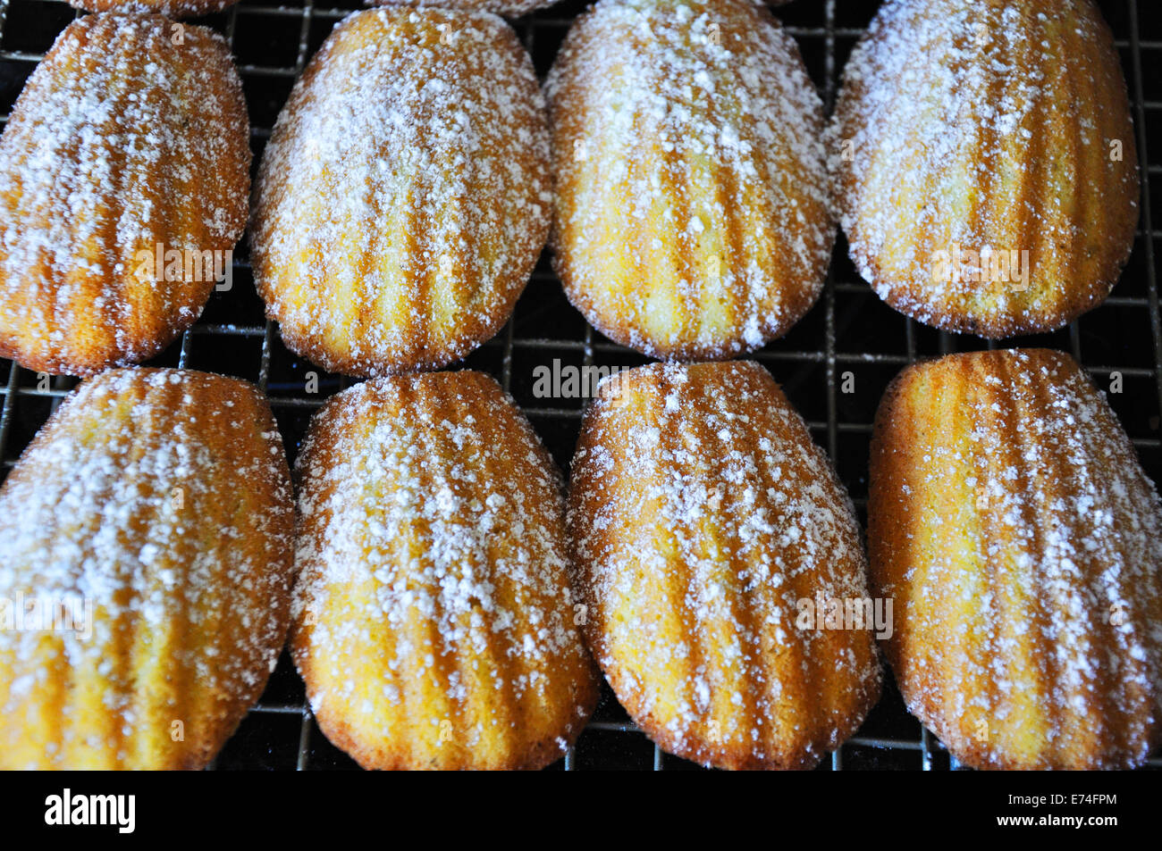 Madeleine cookies Stockfoto