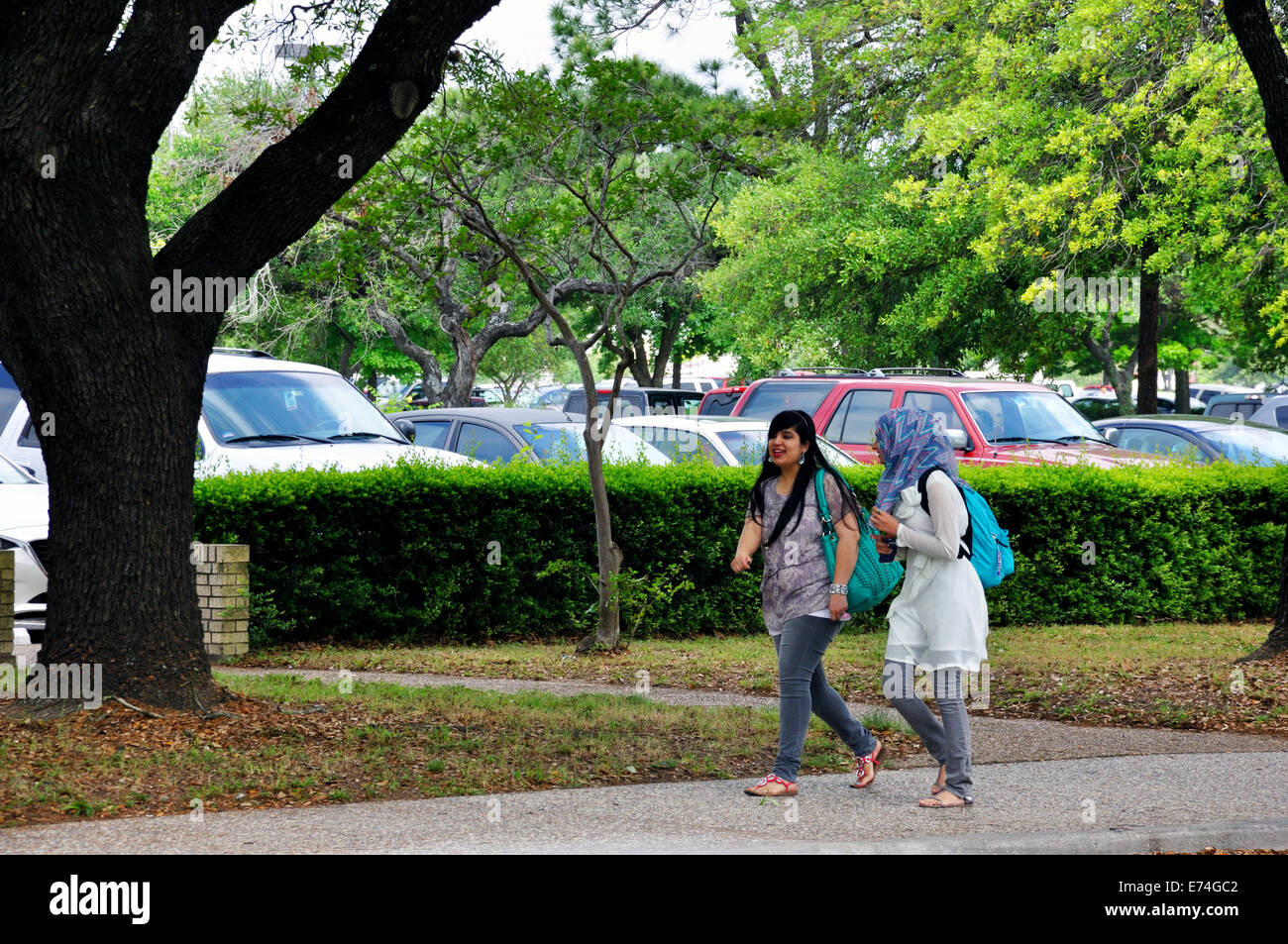 Muslimische Studentinnen an der Universität von Houston, Texas Stockfoto