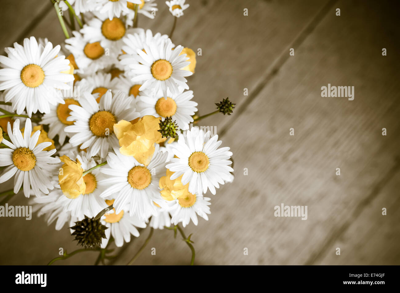 Schöne zarte Blumenstrauß Sommer Wiese mit wilden Kamille auf hölzernen Hintergrund. Florale Komposition im ländlichen vintage Stockfoto