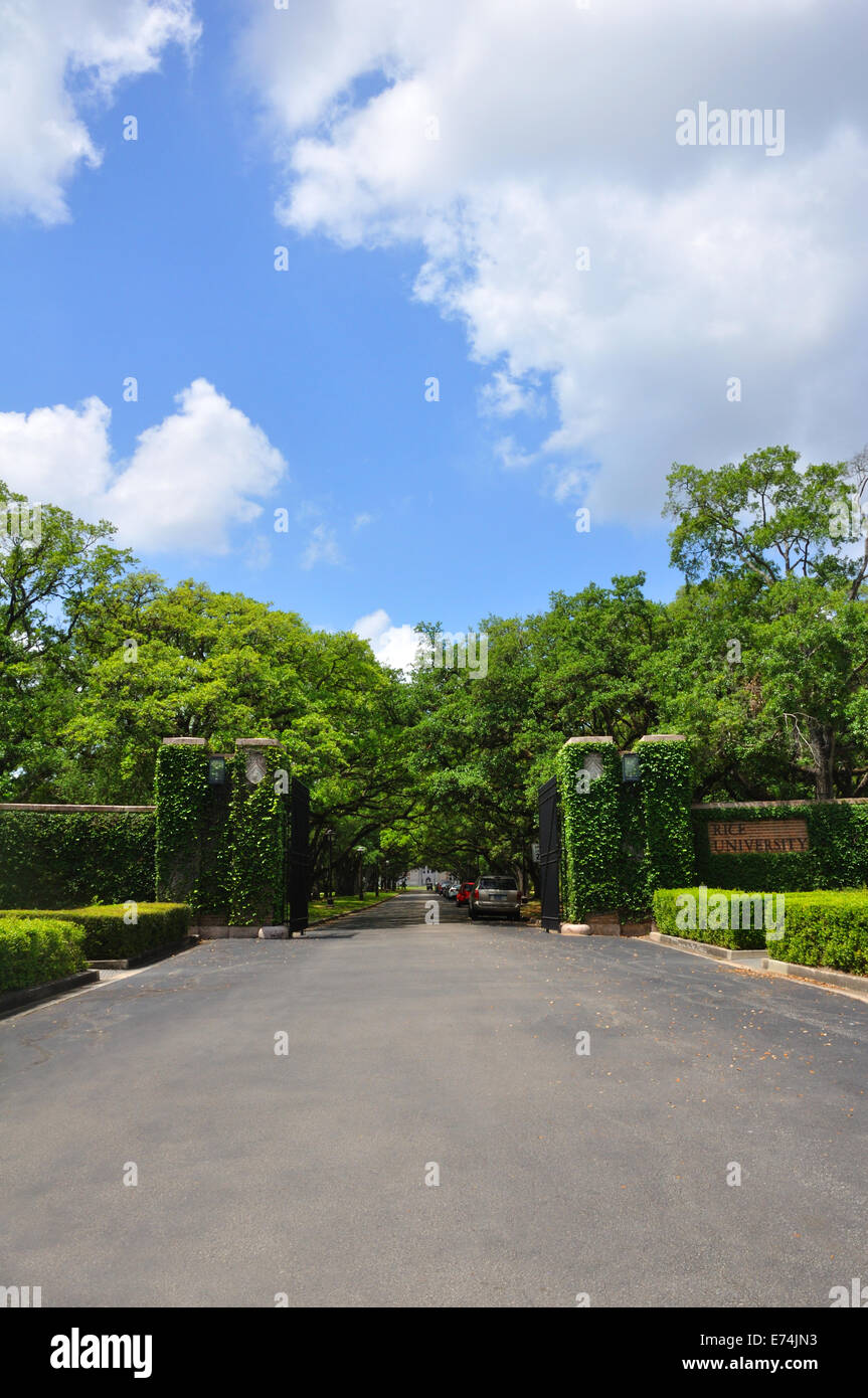 Der Rice University, Houston, Texas Stockfoto