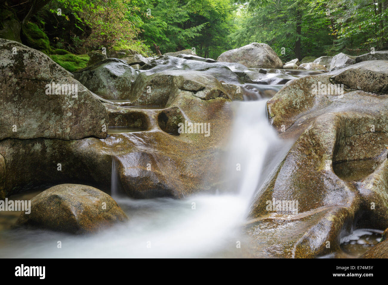 Lost River in verwandter Kerbe von Woodstock, New Hampshire USA während der Sommermonate. Stockfoto