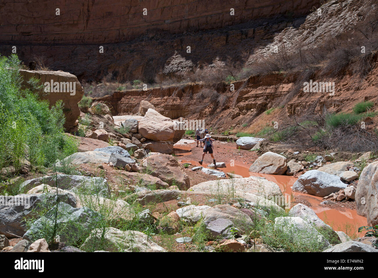 Glen Canyon National Recreation Area, Utah - erkunden Sie River Rafter Clearwater Schlucht. Stockfoto