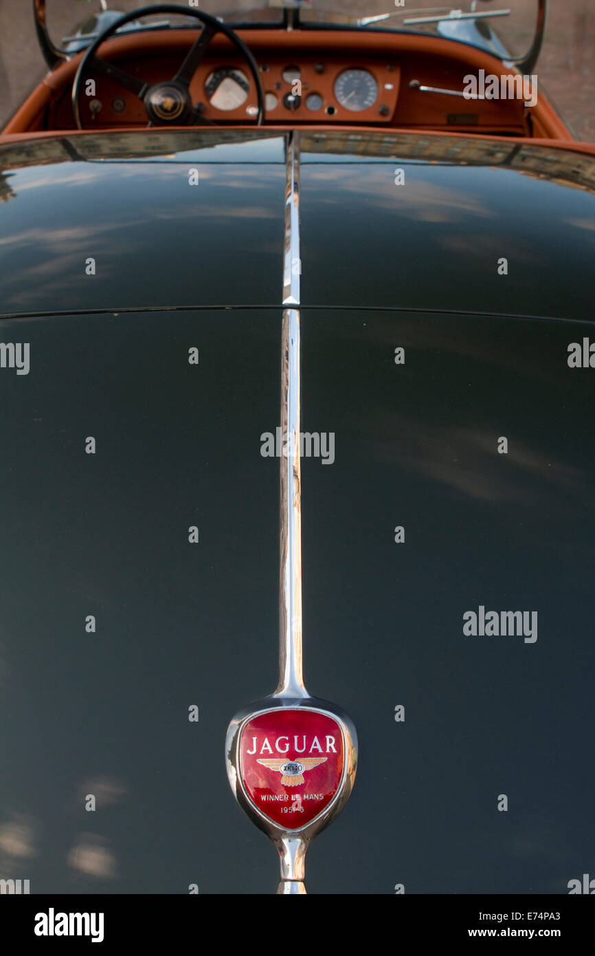 Turin, Italien. 6. September 2014. Ein 1955 Jaguar XK140 OTS. Sammler von historischen Autos trafen sich in Torino für einen Auto-Eleganz-Wettbewerb. Stockfoto