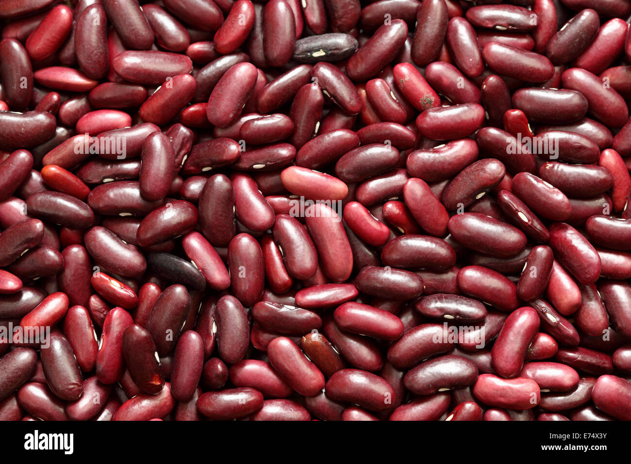 Rote Kidneybohnen Hintergrund. Close-up. Stockfoto