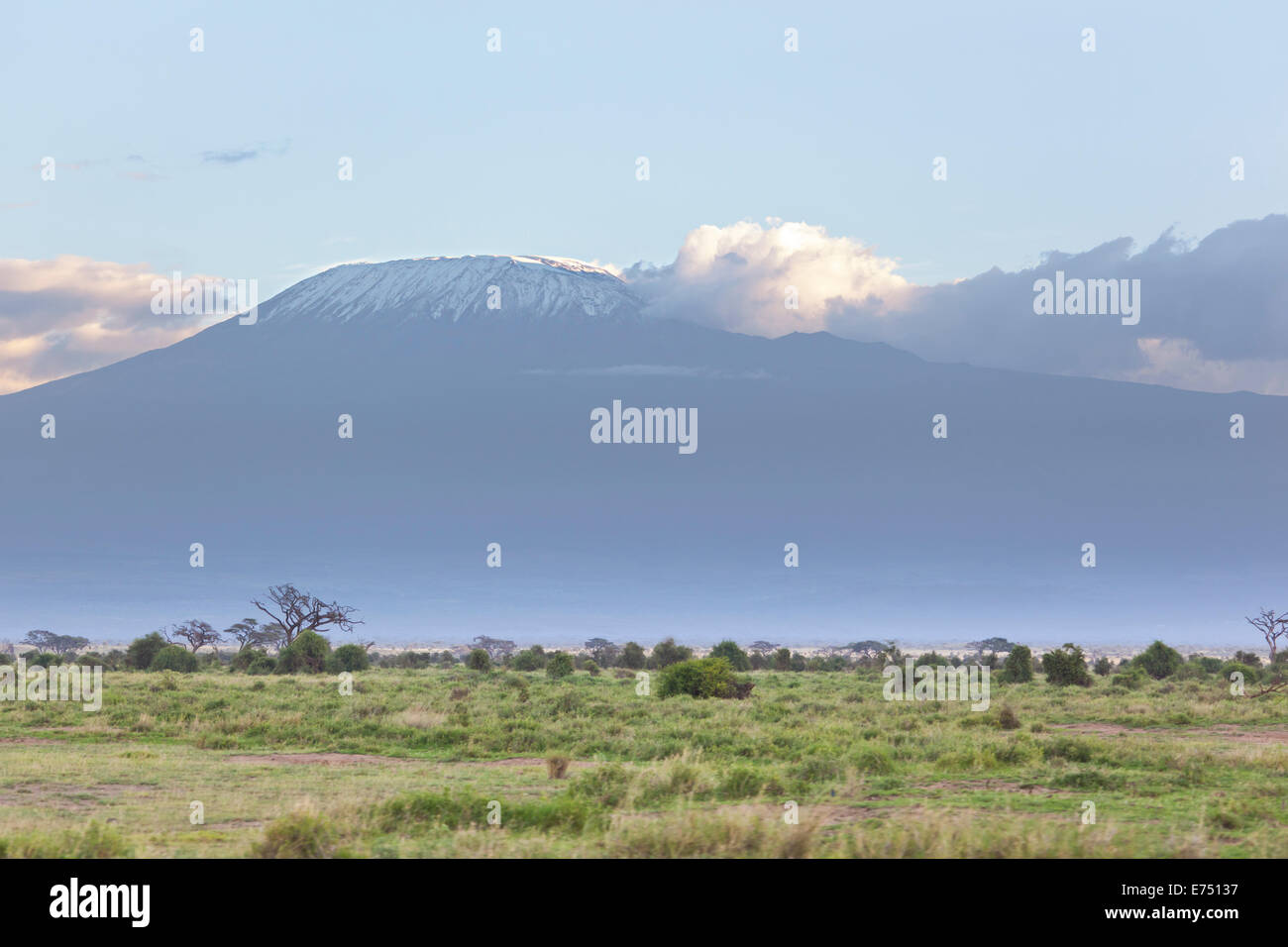 Kilimanjaro mit Schneekappe vom Amboseli Nationalpark in Kenia gesehen. Stockfoto