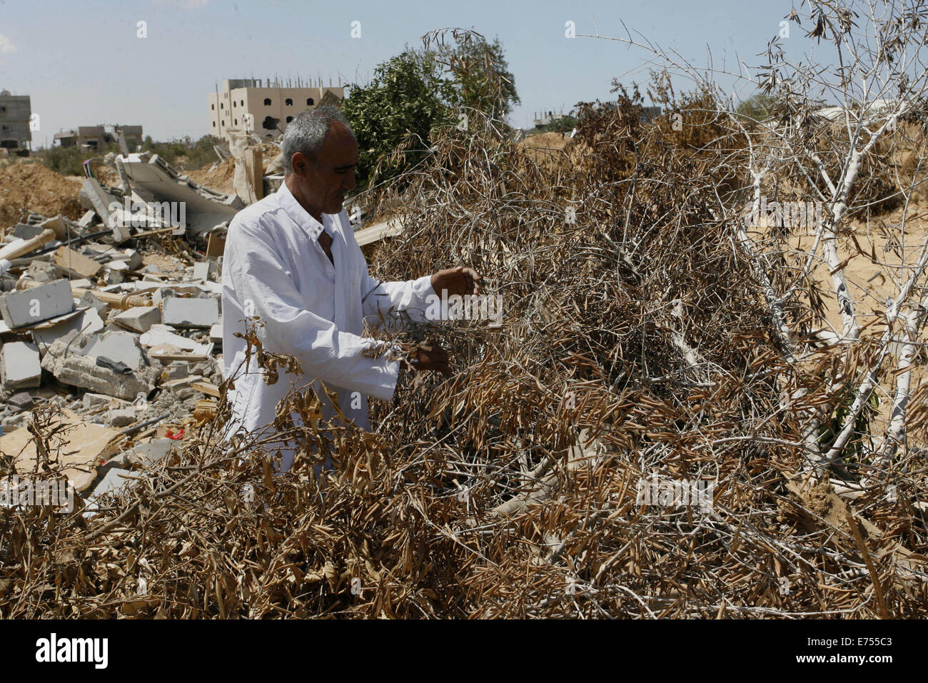 Rafah, Gaza-Streifen, Palästinensische Gebiete. 7. Sep, 2014. Ein palästinensischer Mann inspiziert seine Ackerland zerstört während der Kämpfe zwischen Hamas-Kämpfer und Israel im östlich von Rafah im südlichen Gazastreifen am 7. September 2014. Ruhe eingekehrt in die Küstenstadt Enklave im August 26 Waffenruhe, und Menschen im Gazastreifen wurden allmählich, ihr Leben nach einem blutigen und destruktiven 50-Tage Krieg, der tödlichsten jahrelang Kredit neu: Abed Rahim Khatib/APA Bilder/ZUMA Draht/Alamy Live News Stockfoto