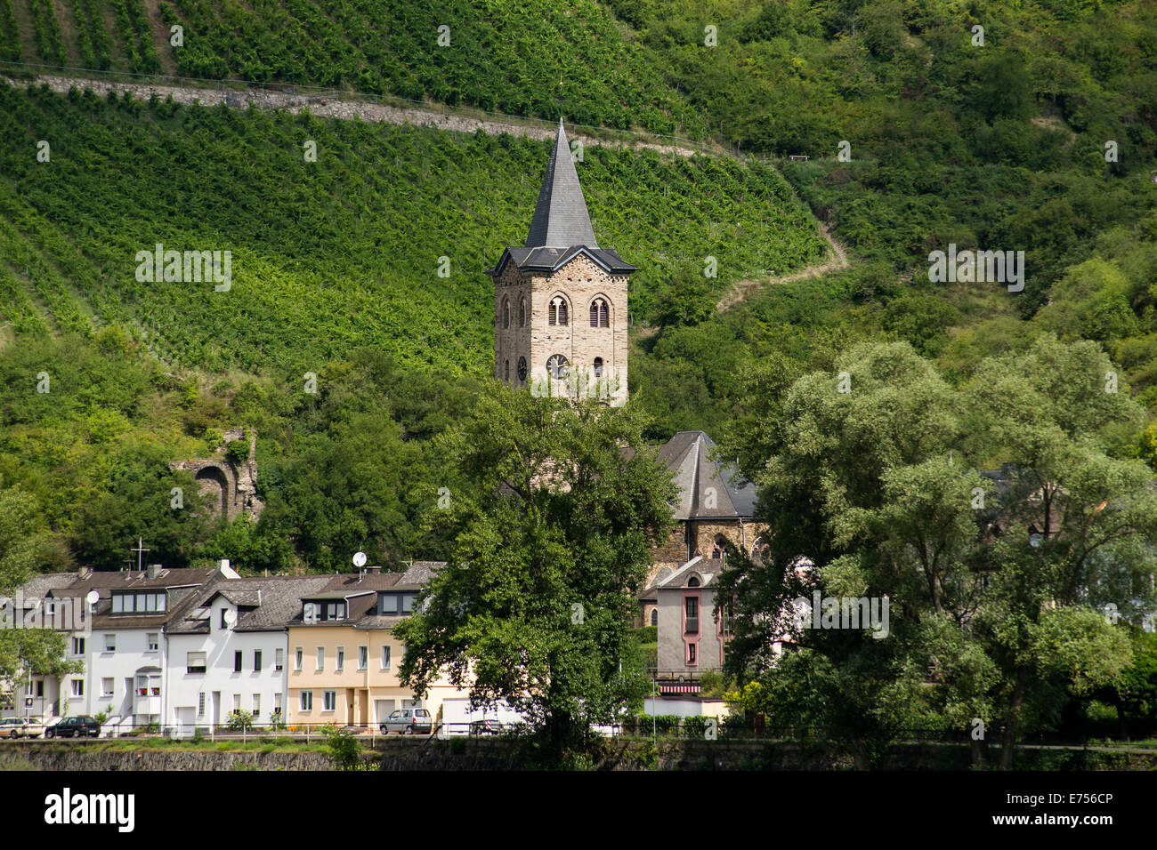 Ansicht der romantischen Rheintal mit mittelalterlichen Burg und Weinberge, Deutschland, Europa Stockfoto