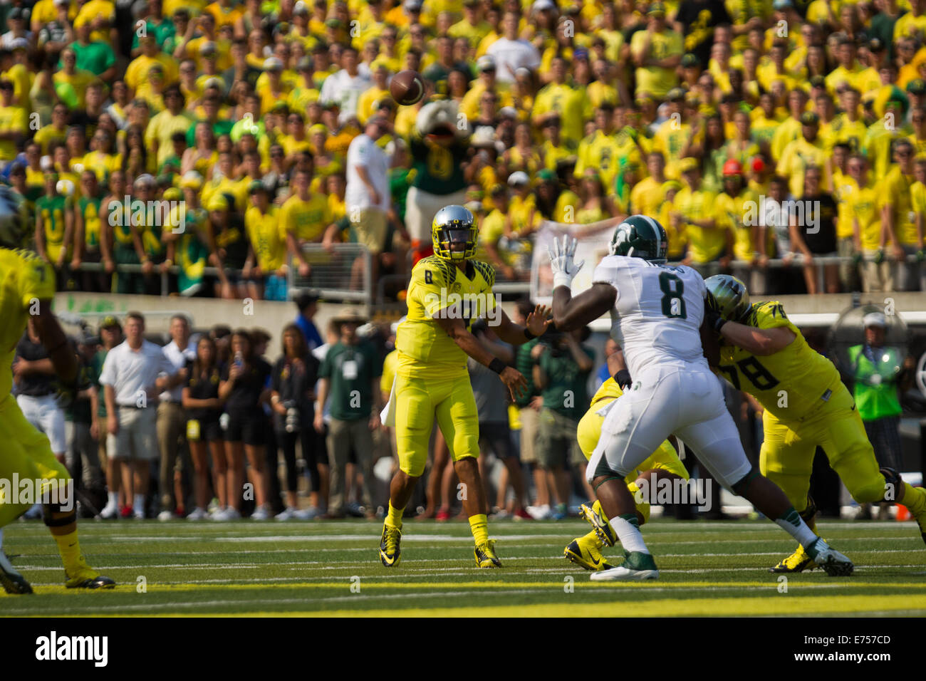 6. September 2014 - wirft MARCUS MARIOTA (8) einen Pass. 6. September 2014 spielt der University of Oregon Michigan State Autzen Stadium. © David Blair/ZUMA Draht/Alamy Live-Nachrichten Stockfoto