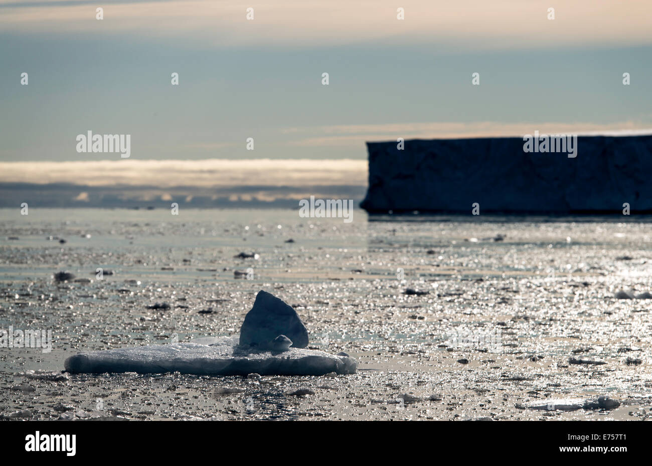 Treibeis von Eisklippen Brasvellbreen Spitzbergen Norwegen Polarkreis Skandinavien Europa Stockfoto