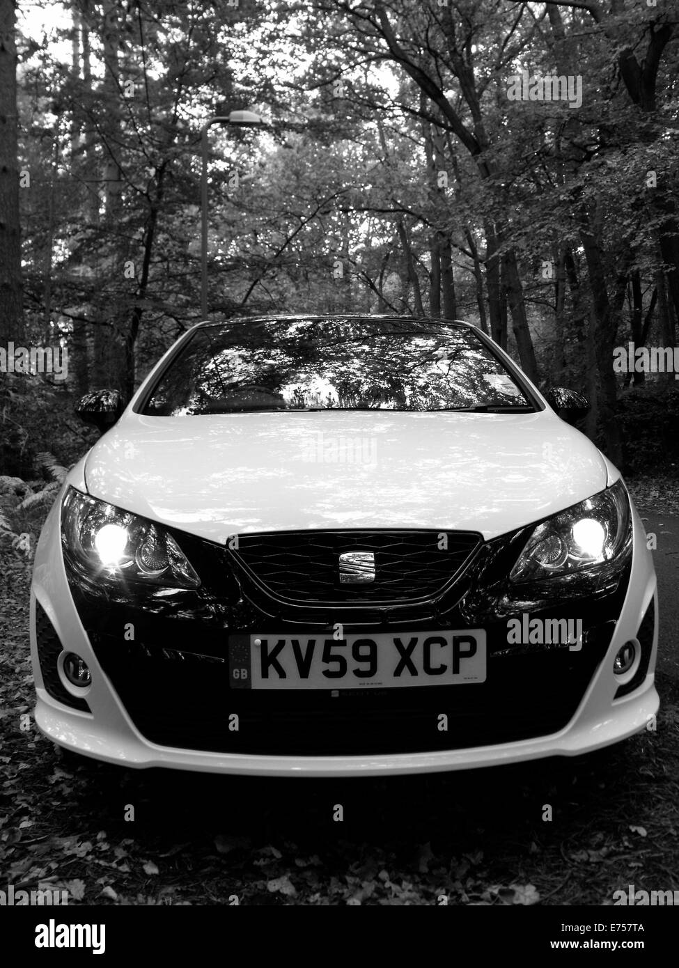 Seat Ibiza Bocanegra 2009 Stockfoto