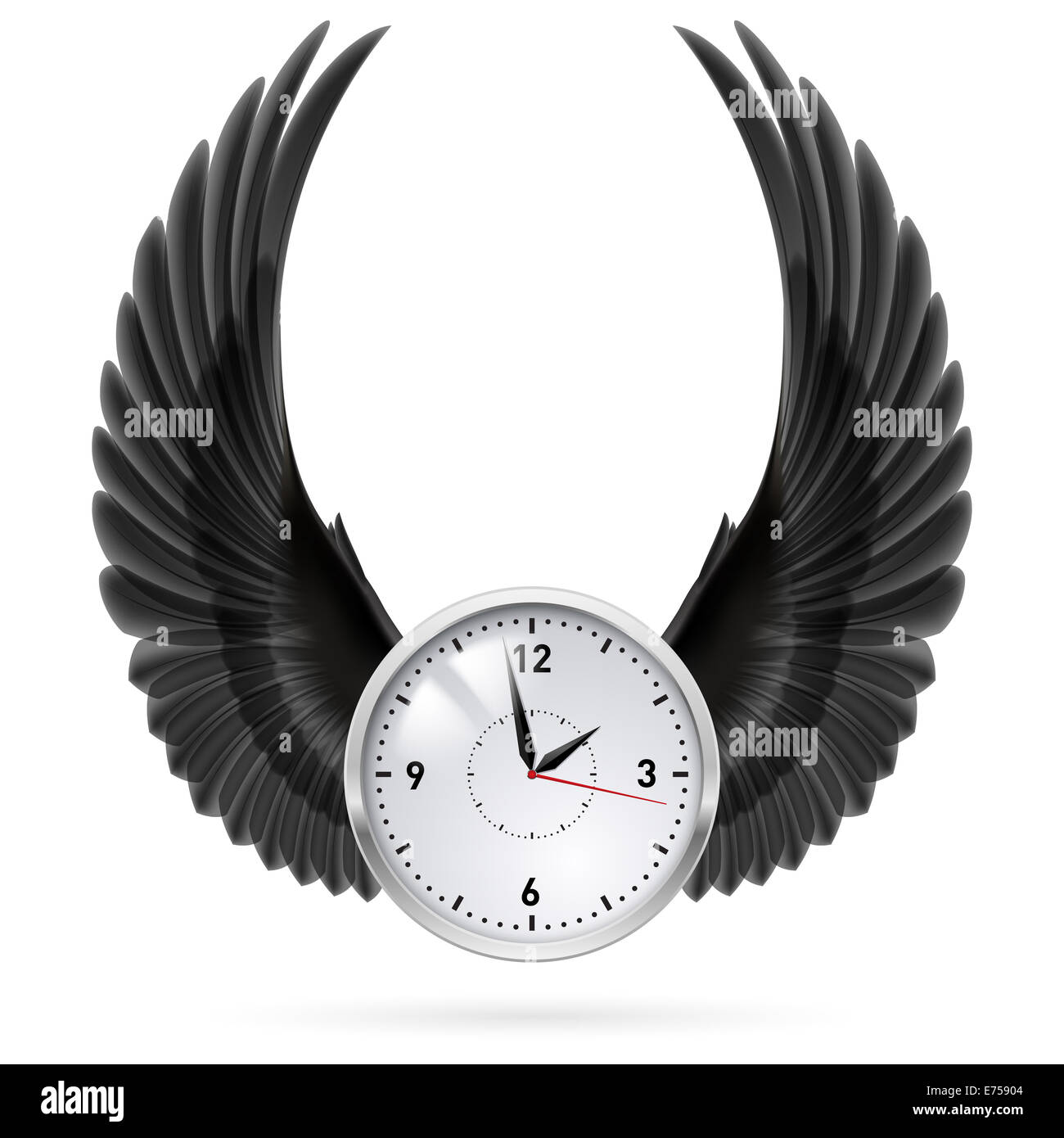 Weiße Uhr mit schwarzen Flügeln. Zu schwingen. Fliegen. Stockfoto