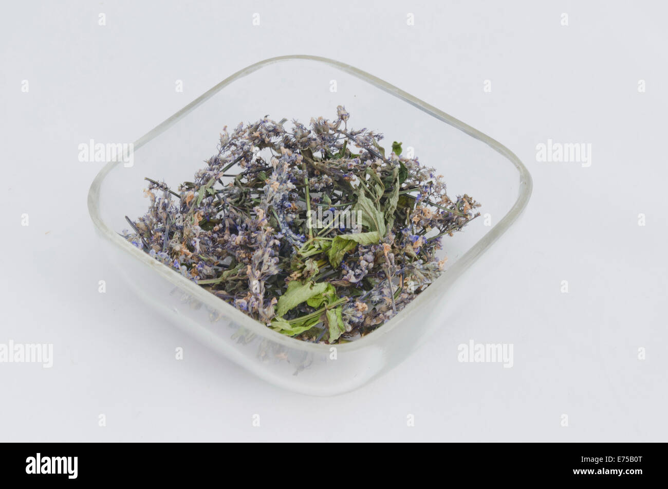 Ökologische heilenden trockene Kraut Blume - Pfefferminze (Mentha Piperita) auf der Glasplatte Stockfoto