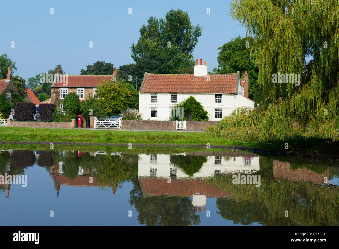 Der Dorfteich in Nonne Monkton, in der Nähe von York, North Yorkshire, England UK Stockfoto