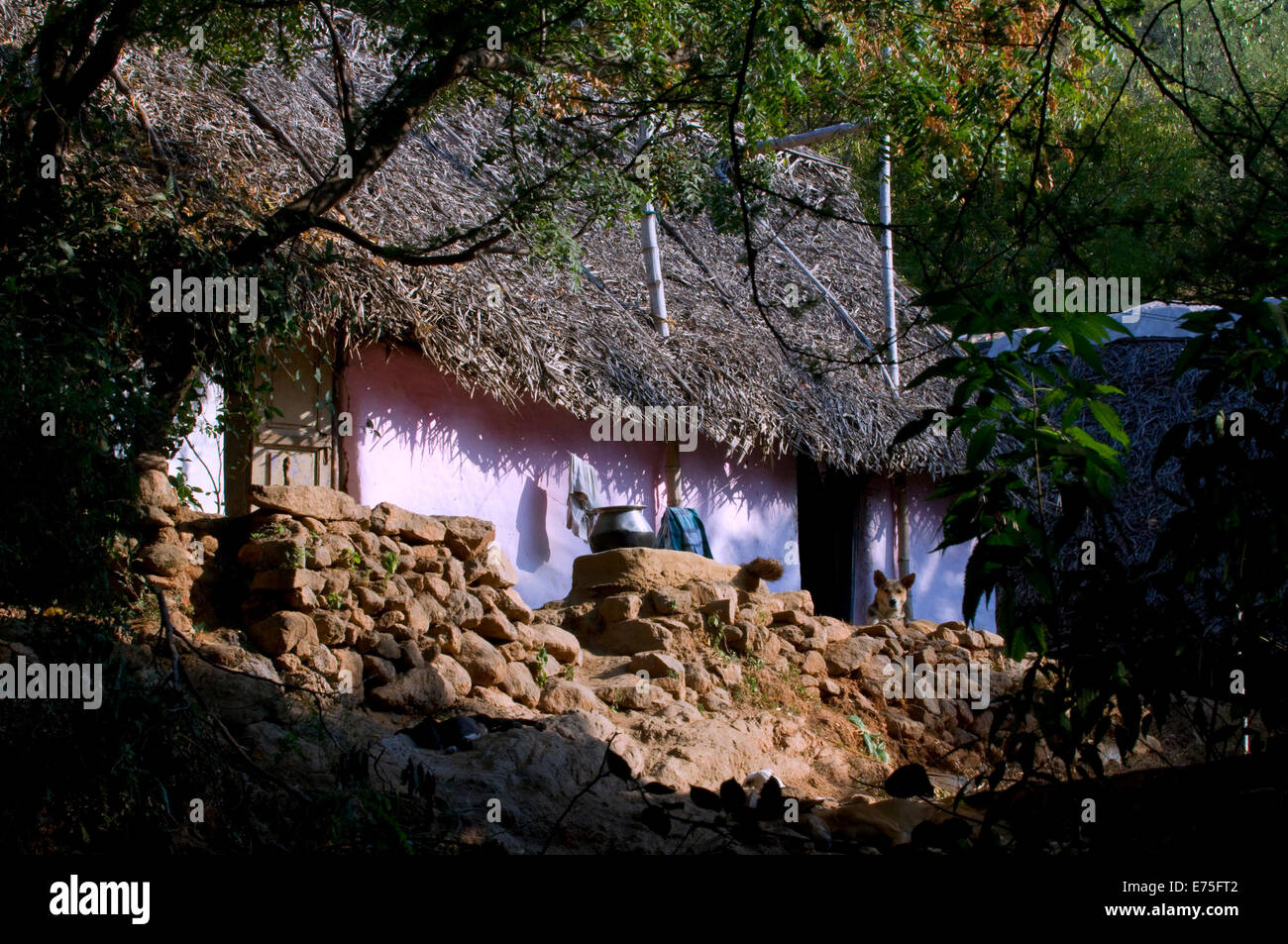 Bescheidenen Dorf strohgedeckte Hütte gebadet im morgendlichen Sonnenlicht am Arunachala heiligen Hügel Tiruvannamalai in Indien Stockfoto