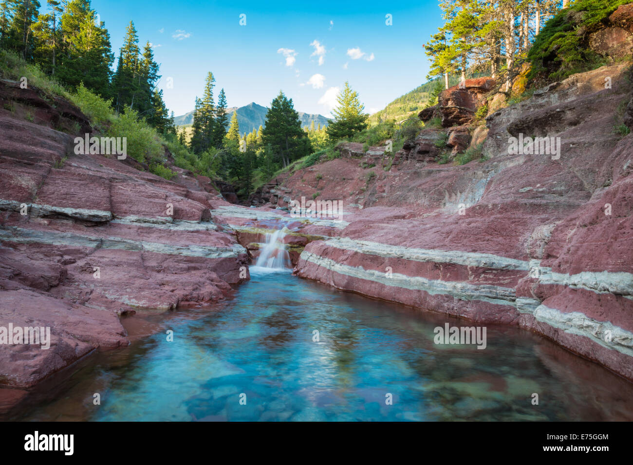 Red Rock Canyon mit kleinem Wasserfall, Waterton Lakes Nationalpark, Alberta Stockfoto