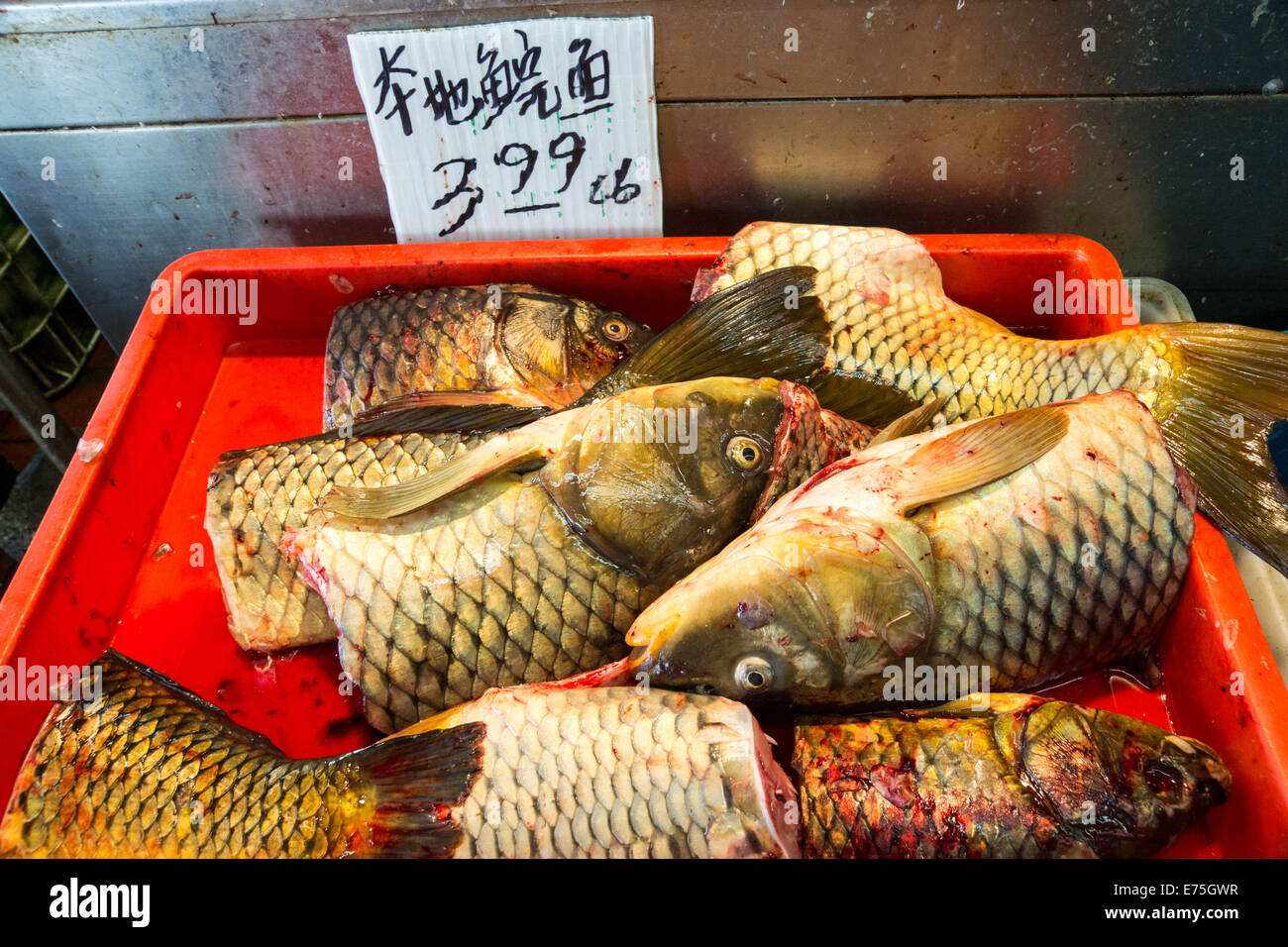 Frischer Fisch zum Verkauf in San Franciscos Chinatown. Stockfoto