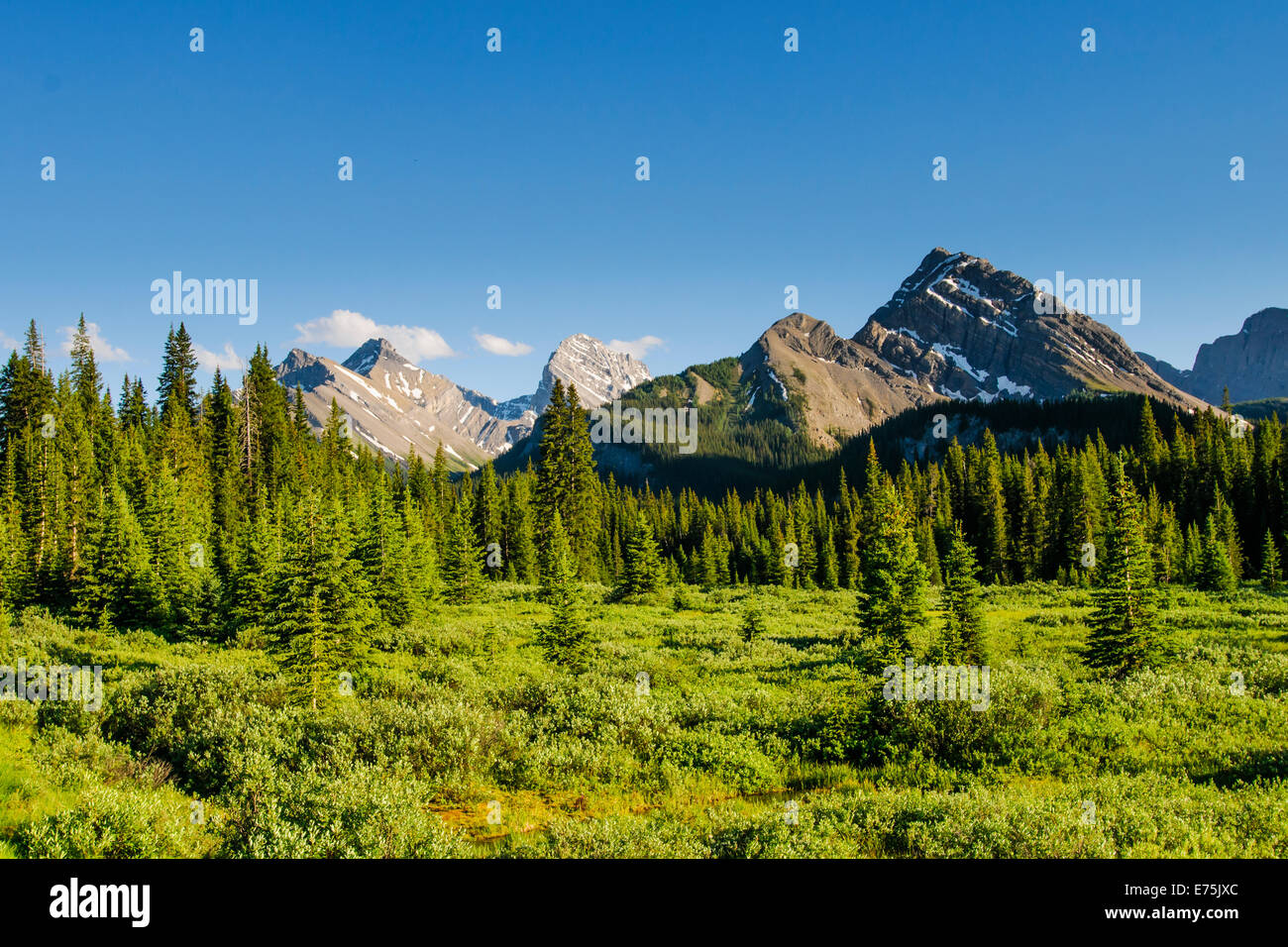 Malerische Berge im Sommer, Kananaskis Country Alberta Kanada Stockfoto