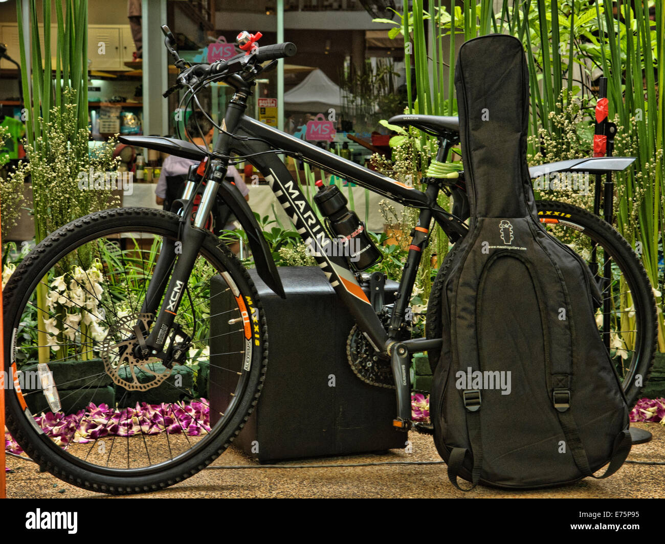 Geparkte Fahrrad mit Gitarre Stockfoto