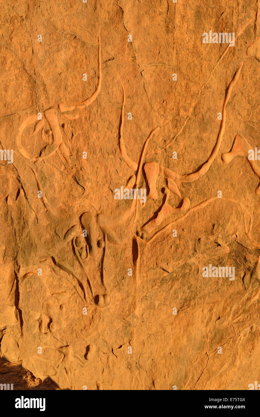 La Vache Qui Pleure, Stein gravieren von einem weinenden Kuh, neolithischen Felszeichnungen in der Nähe von Djanet, Tassili N´Ajjer National Park Stockfoto