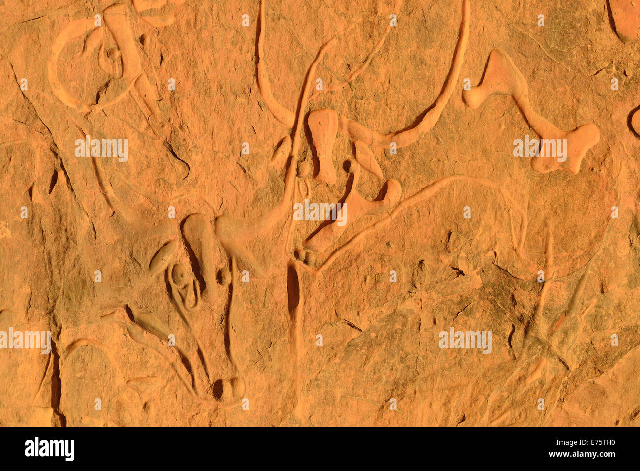 La Vache Qui Pleure, Stein gravieren von einem weinenden Kuh, neolithischen Felszeichnungen in der Nähe von Djanet, Tassili N´Ajjer National Park Stockfoto