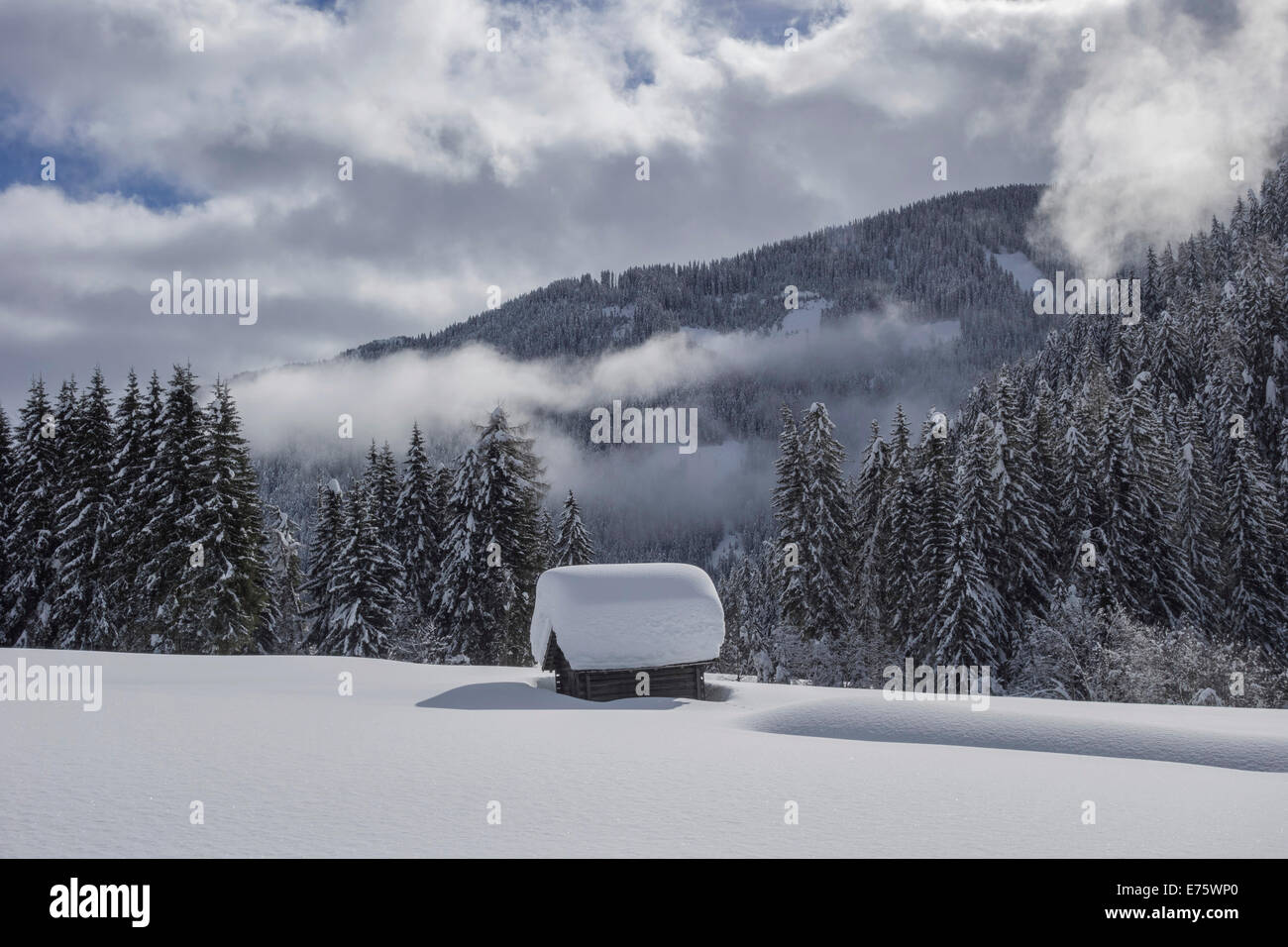 Holzhütte mit viel Schnee, obertilliach, Lesachtal, Osttirol, Österreich Stockfoto