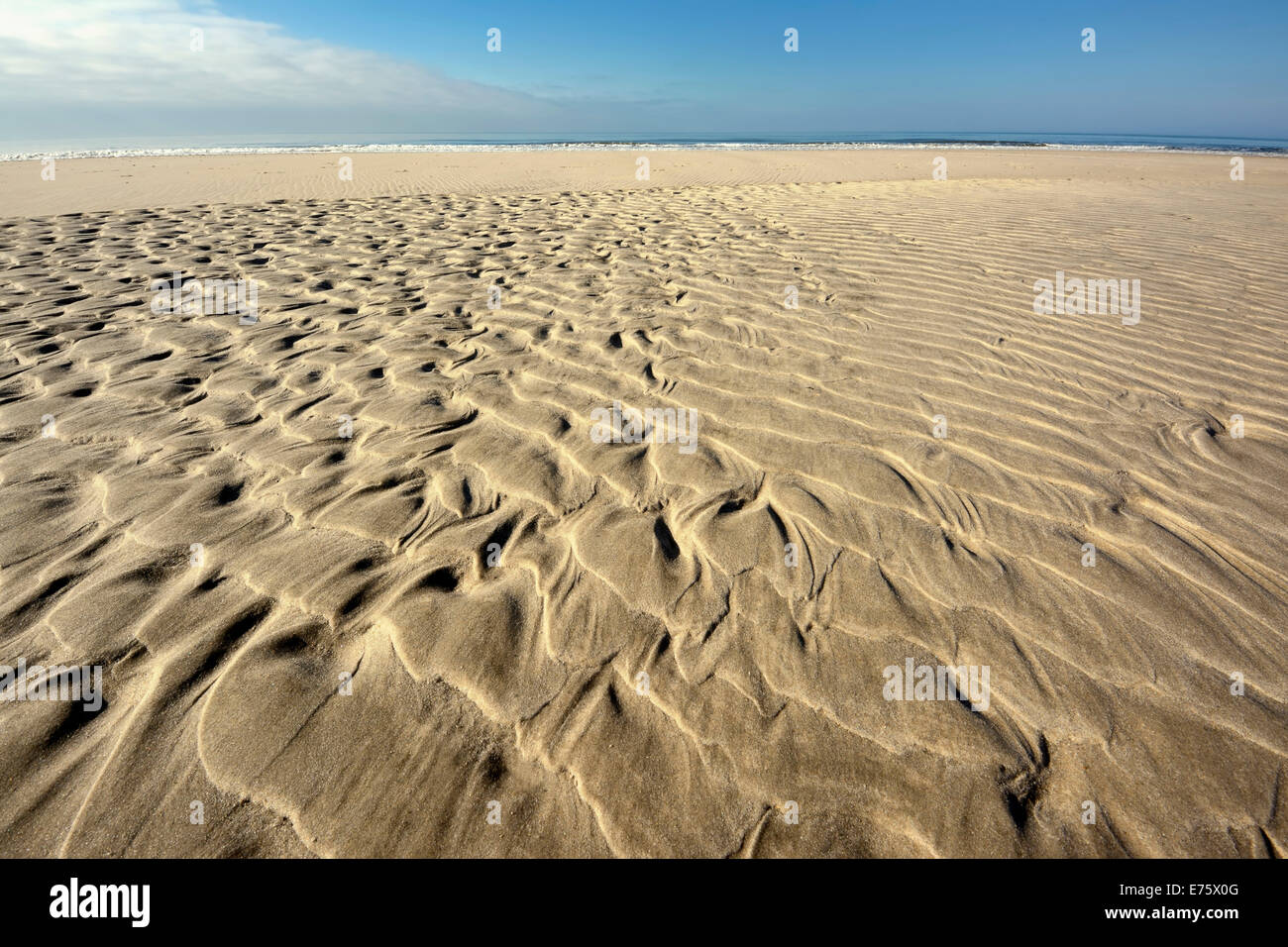 Sand welligkeit Muster auf dem Strand, in der Nähe von Hvide Sande, Jütland, Dänemark Stockfoto