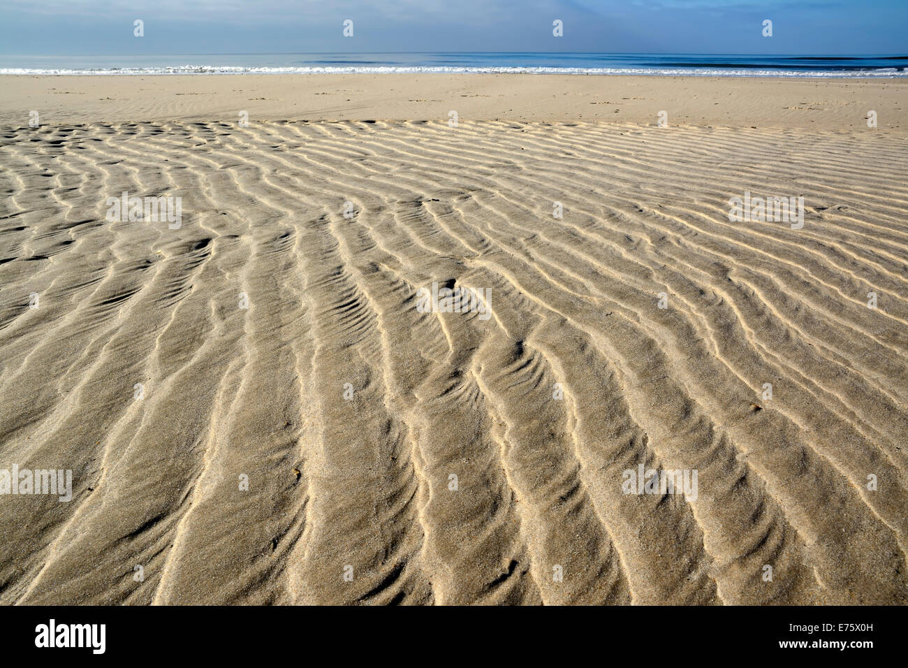 Sand welligkeit Muster auf dem Strand, in der Nähe von Hvide Sande, Jütland, Dänemark Stockfoto
