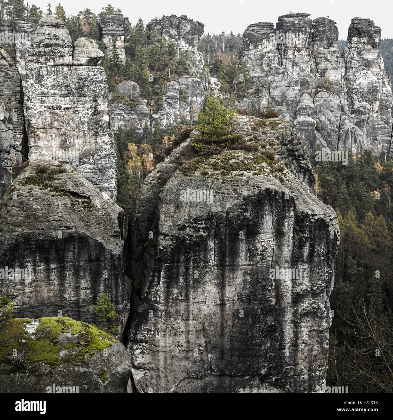 Felsige Landschaft, Bastei Rock, Elbsandsteingebirge, Sächsische Schweiz, Sachsen, Deutschland Stockfoto