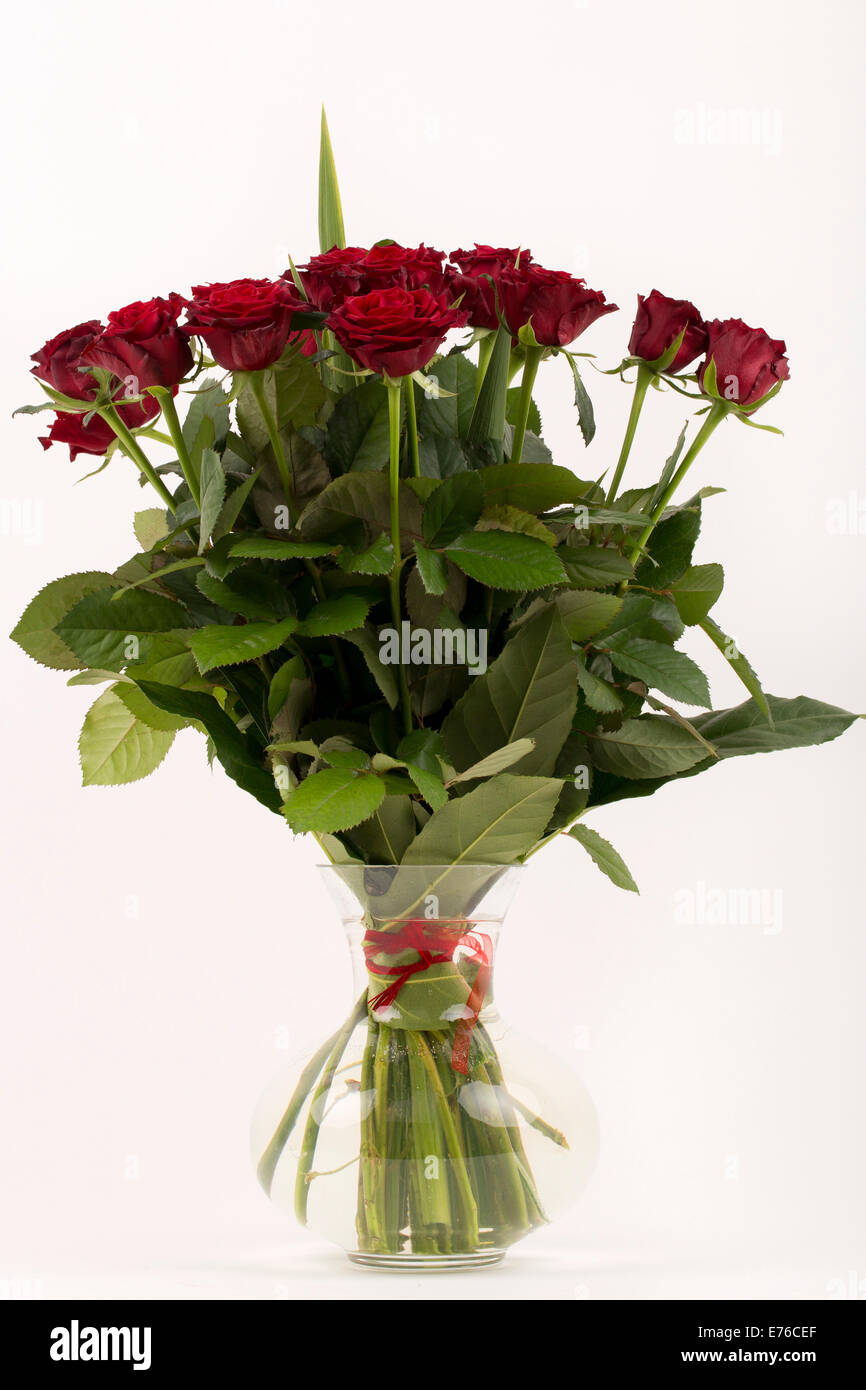 Rote Rosen in vase Stockfoto