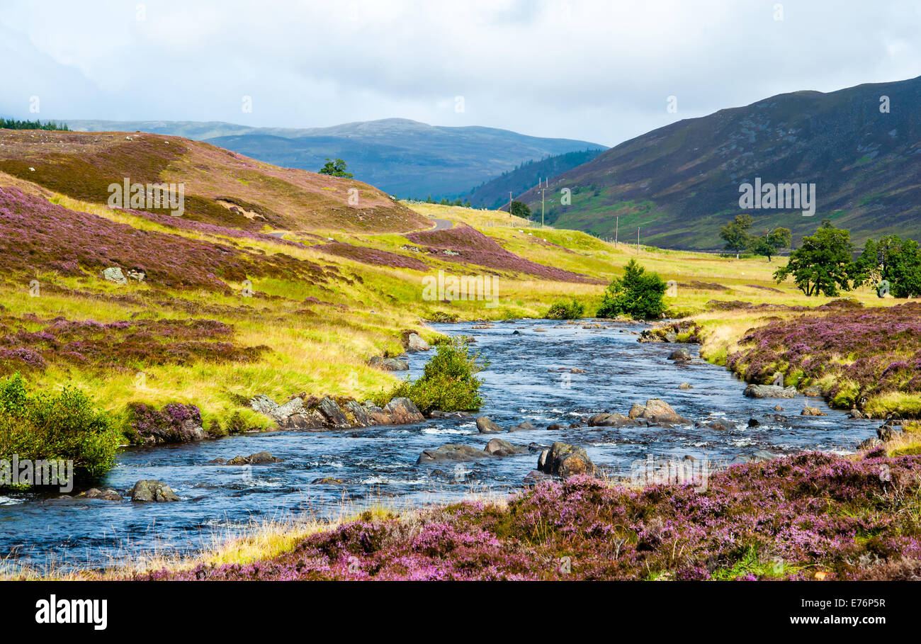 sonnigen Tag in den schottischen highlands Stockfoto