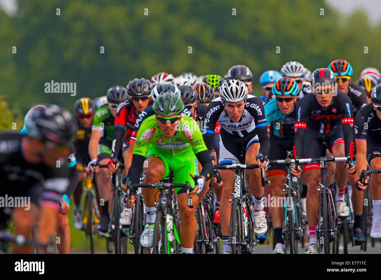 8. Sep, 2014. Ein Blick auf das Hauptfeld als es kommt darauf an der Kreuzung Netherley Straße Merseyside. Bildnachweis: Paul Scoullar/Alamy Live-Nachrichten Stockfoto