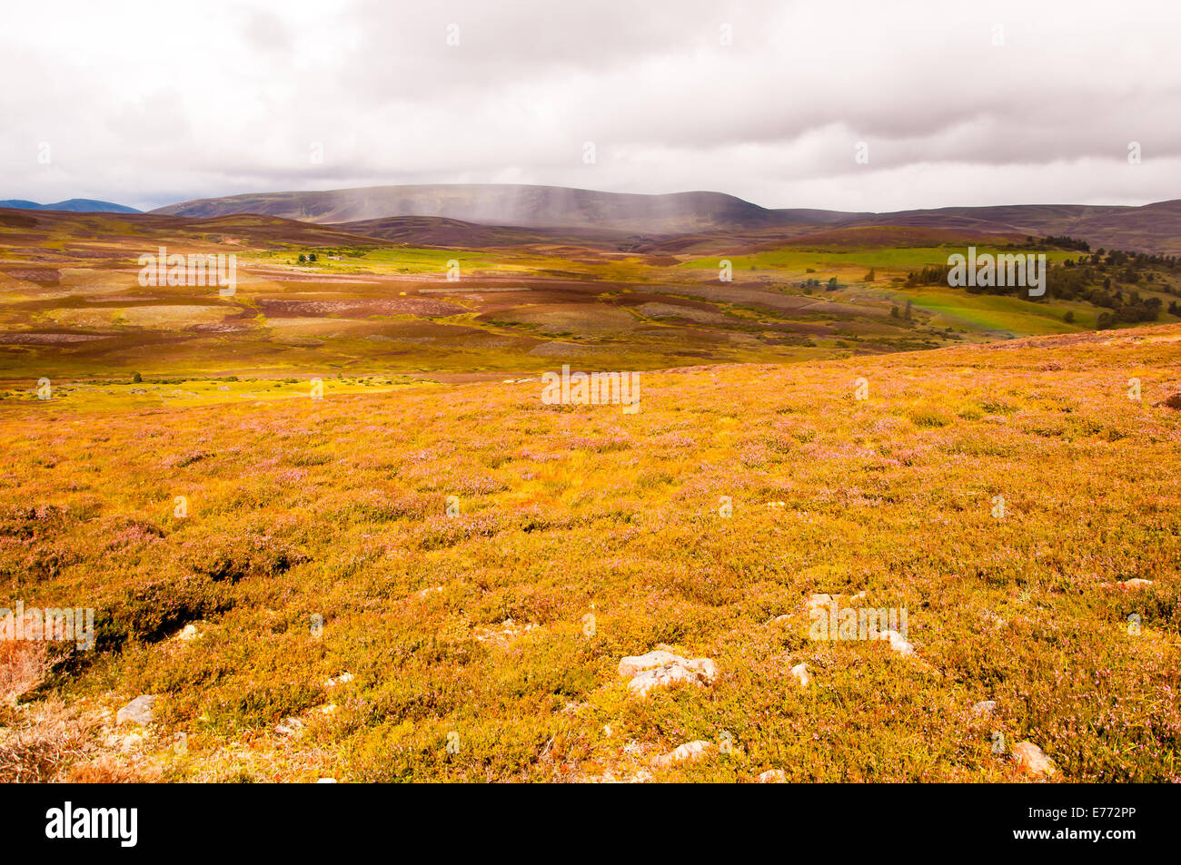 Regenbogen in den schottischen highlands Stockfoto